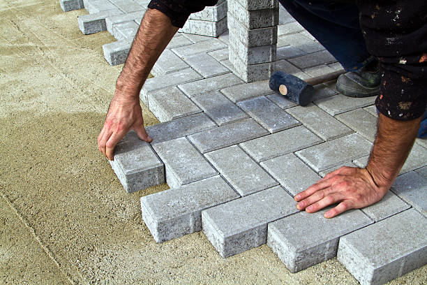 Best Driveway paver repairs and maintenance in Newport, TN